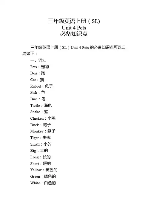 三年级英语上册(SL)Unit 4必备知识点