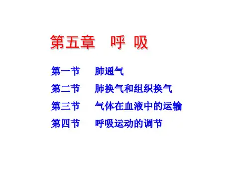 生理学Chapt05呼吸