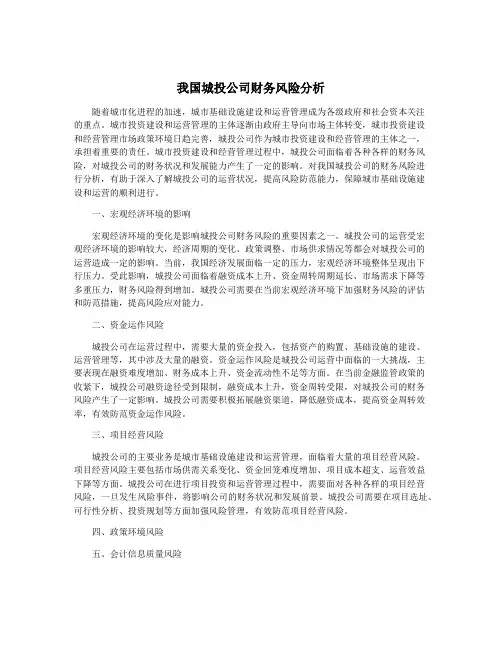 我国城投公司财务风险分析