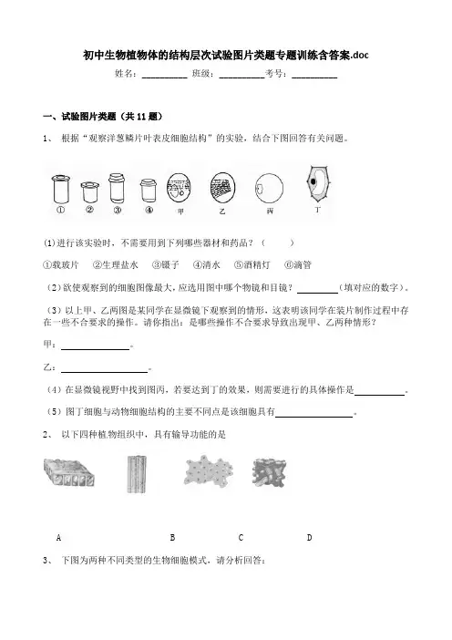 初中生物植物体的结构层次试验图片类题专题训练含答案