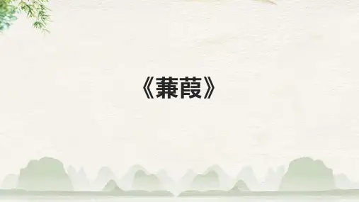 《蒹葭》精品课件