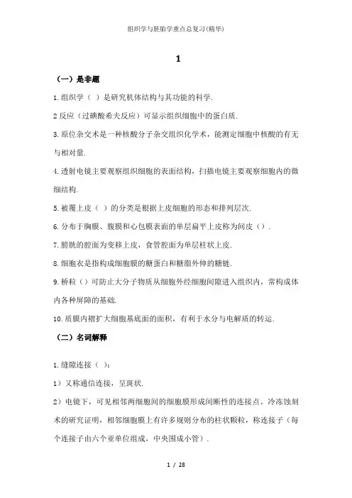 组织学与胚胎学重点总复习(精华)