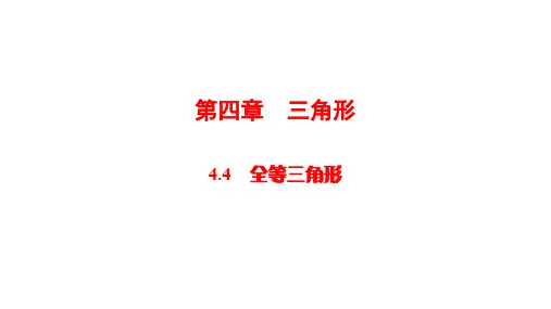 华师大版数学中考复习课件第四章三角形(4)