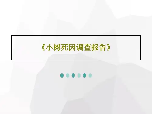 《小树死因调查报告》26页PPT