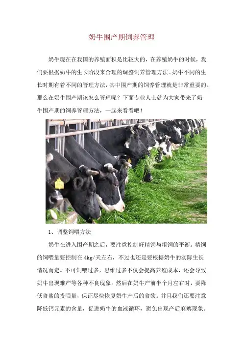 奶牛围产期饲养管理