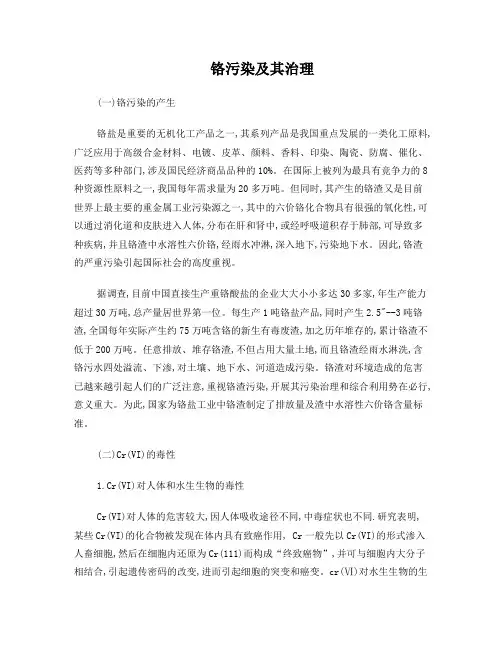 铬污染及其治理