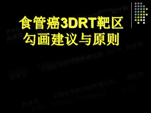 食管癌靶区勾画