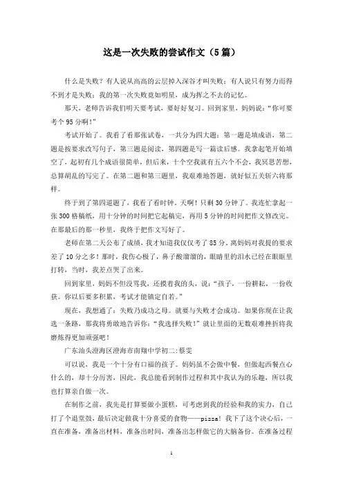 这是一次失败的尝试作文(5篇)
