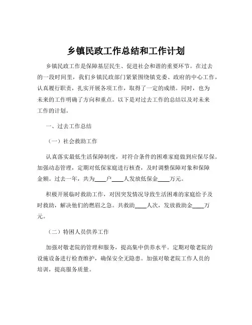 乡镇民政工作总结和工作计划