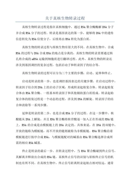 关于真核生物转录过程