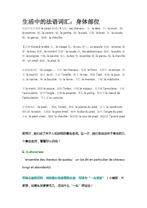 生活中的法语词汇