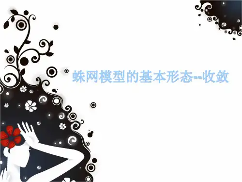 蛛网模型
