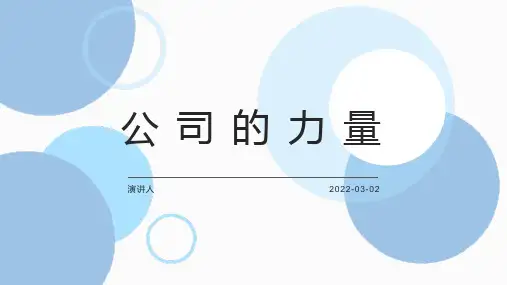 马连福：公司治理