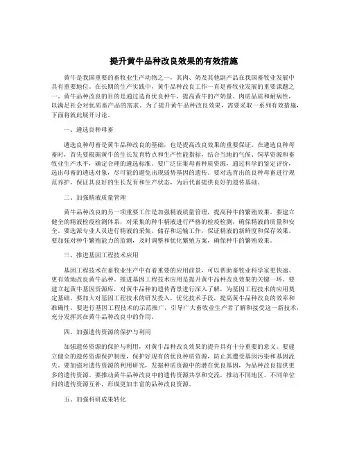 提升黄牛品种改良效果的有效措施