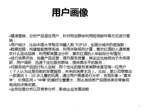 数据挖掘与用户画像PPT课件
