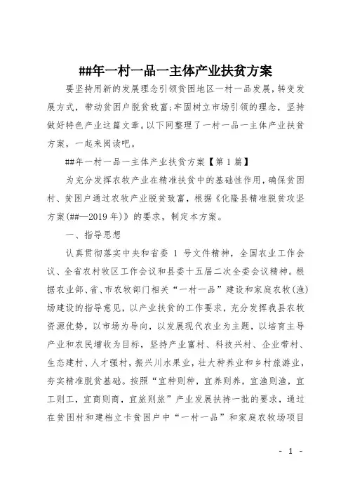 XX年一村一品一主体产业扶贫方案