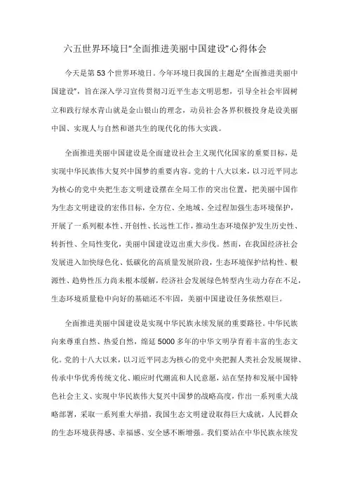 六五世界环境日“全面推进美丽中国建设”心得体会