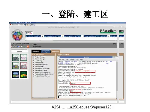 paradigm使用手册--自己全