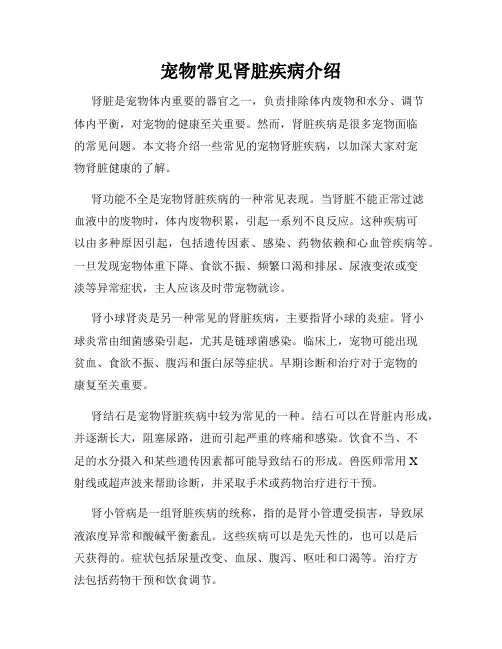 宠物常见肾脏疾病介绍