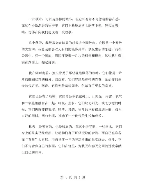 一片秋叶作文范文