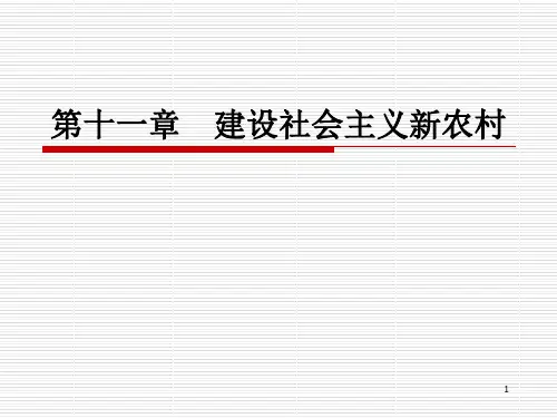 建议社会主义新农村ppt课件