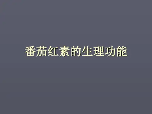 番茄红素ppt课件