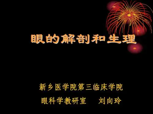 眼解剖