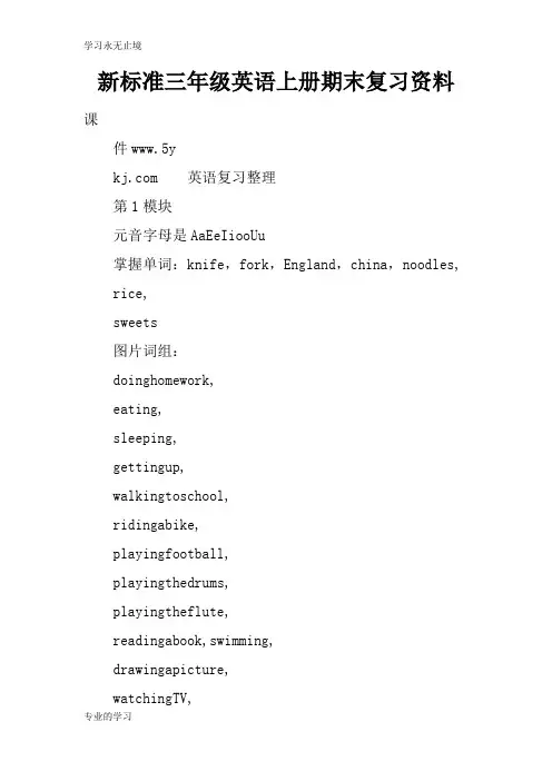 新标准三年级英语上册期末考试复习学习要点资料