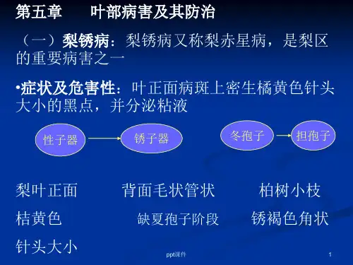 林木病理学-- 叶部病害及其防治(林学)  ppt课件