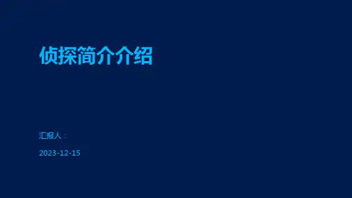 侦探简介介绍