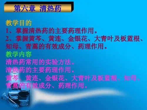 清热药-PPT课件