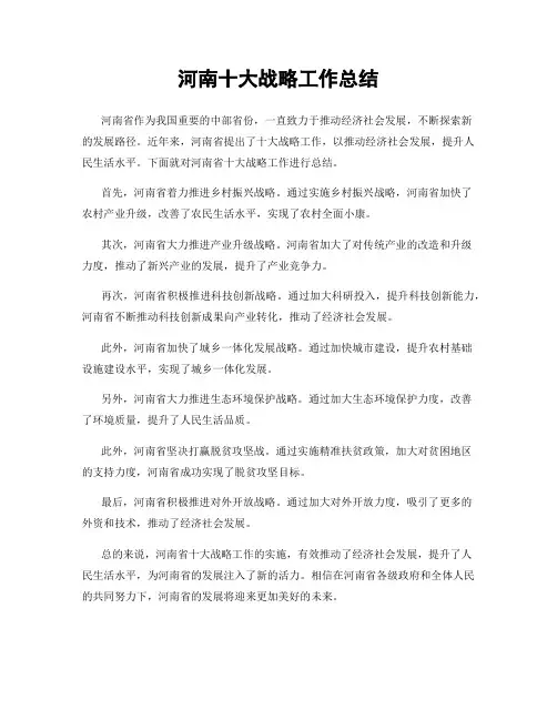 河南十大战略工作总结