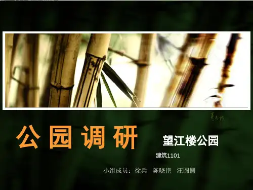望江楼公园分析