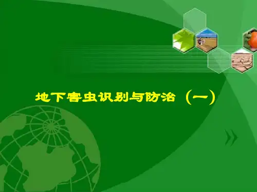 地下害虫识别与防治(一).