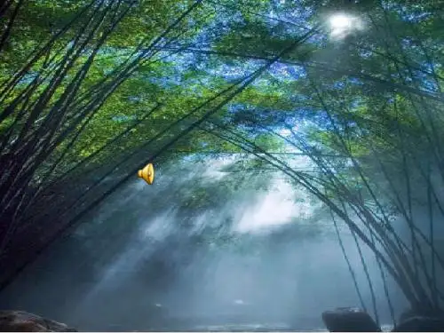 人教版语文七年级上册《探索月球奥秘》课件