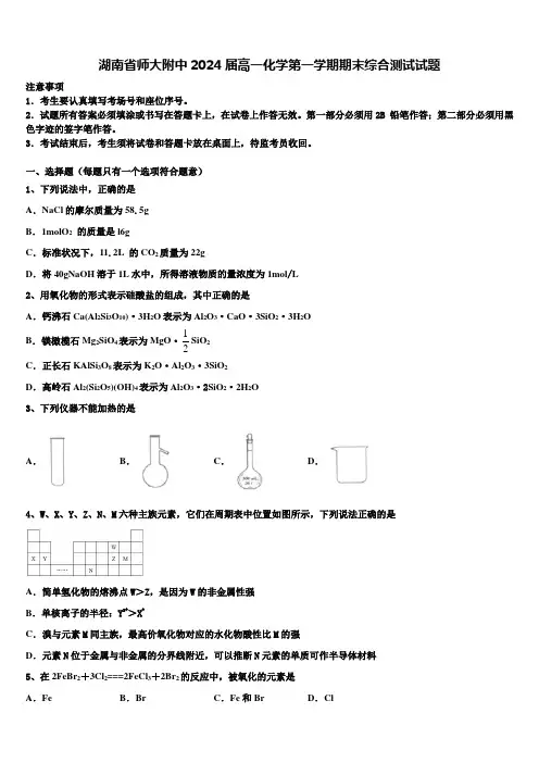 湖南省师大附中2024届高一化学第一学期期末综合测试试题含解析