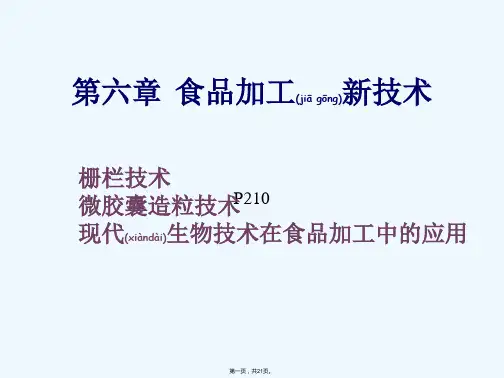 《食品加工新技术》PPT课件