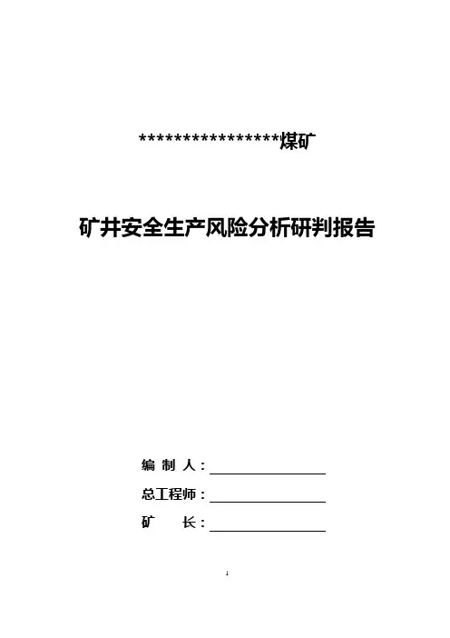 终稿--煤矿矿井安全生产风险分析研判报告
