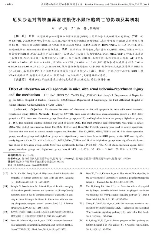 厄贝沙坦对肾缺血再灌注损伤小鼠细胞凋亡的影响及其机制