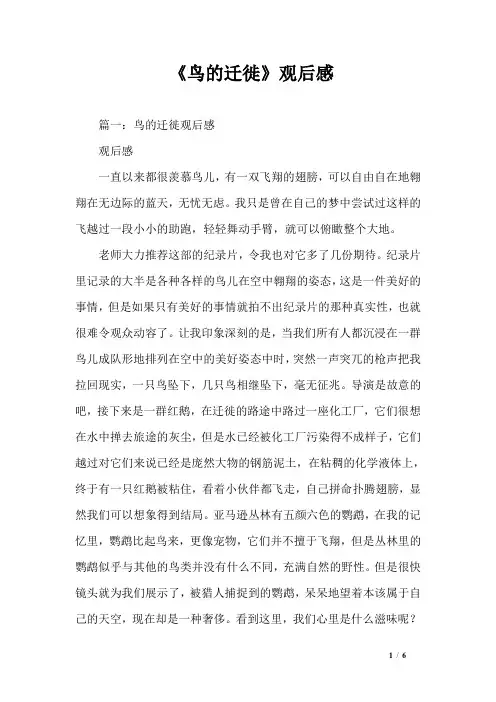 《鸟的迁徙》观后感