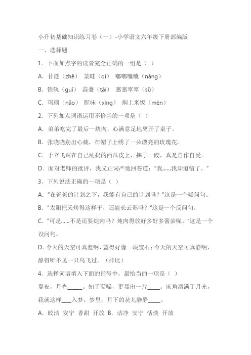 部编版小学语文六年级下册小升初基础知识练习卷(一)(有答案)