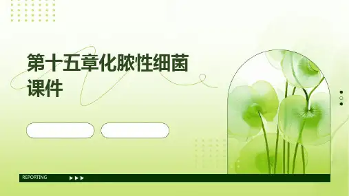 第十五章化脓性细菌课件