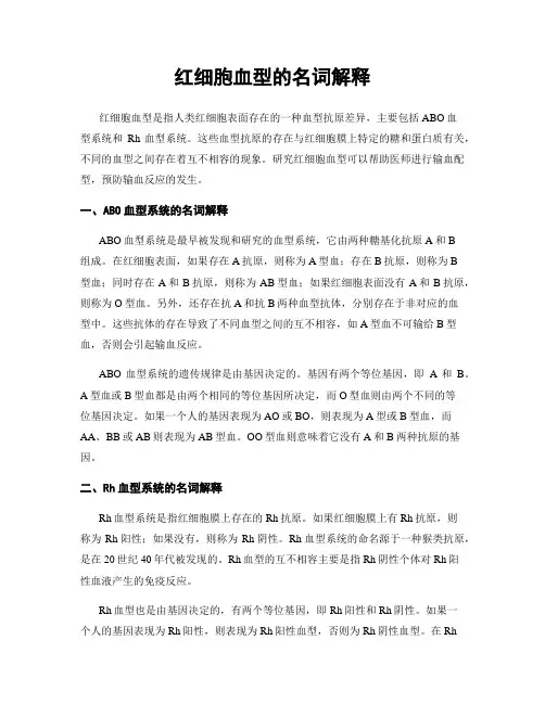 红细胞血型的名词解释