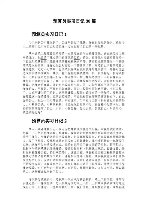 预算员实习日记30篇