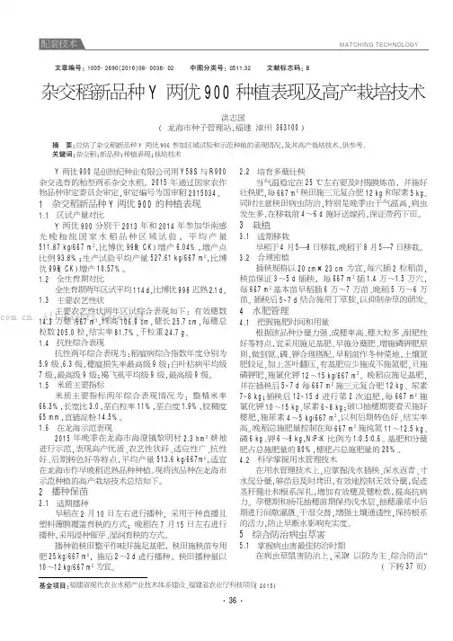 杂交稻新品种Y两优900种植表现及高产栽培技术