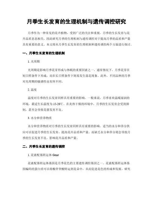 月季生长发育的生理机制与遗传调控研究