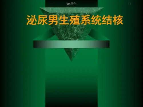 泌尿男生殖系统结核  ppt课件