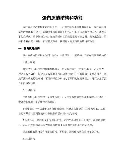 蛋白质的结构和功能