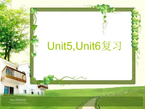 牛津译林三年级英语上册第五六单元期末复习课件