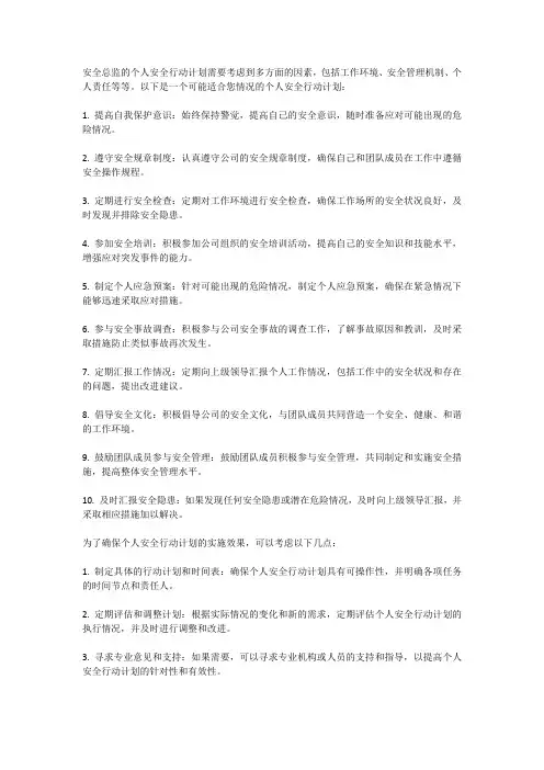 安全总监个人安全行动计划